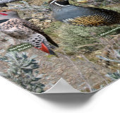 Achtertuin vogels van Nevada Poster (Hoek)