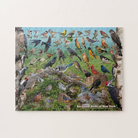 Achtertuin vogels van New York Legpuzzel (Horizontaal)