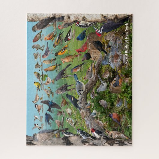 Achtertuin vogels van New York Legpuzzel (Verticaal)