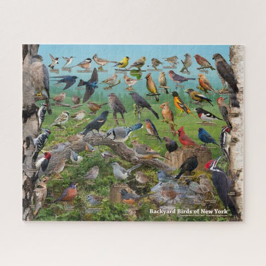 Achtertuin vogels van New York Legpuzzel (Horizontaal)