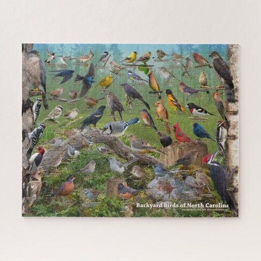 Achtertuin vogels van North Carolina Legpuzzel (Horizontaal)