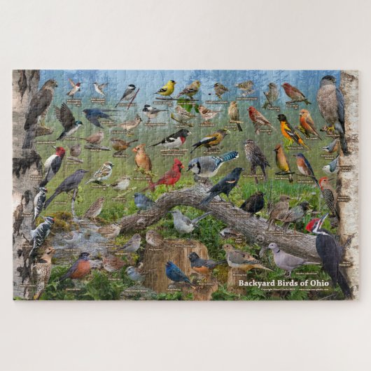 Achtertuin vogels van Ohio Puzzle Legpuzzel (Horizontaal)