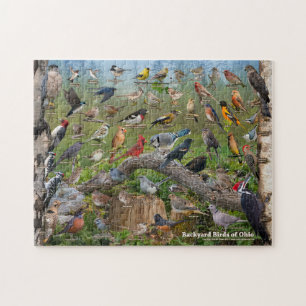 Achtertuin vogels van Ohio Puzzle Legpuzzel