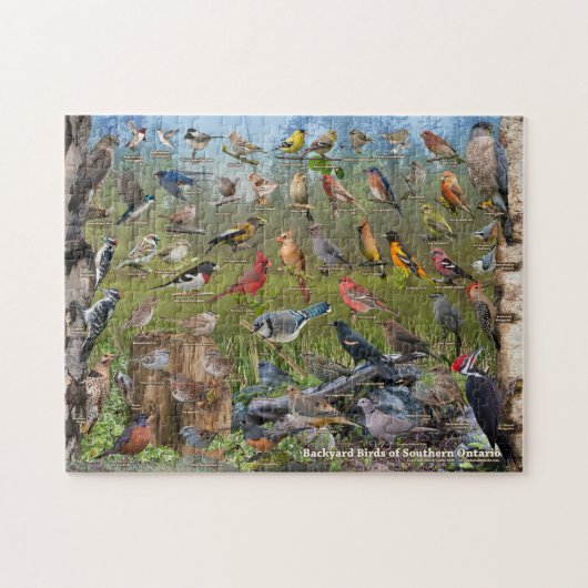 Achtertuin vogels van Ontario Puzzle Legpuzzel (Horizontaal)