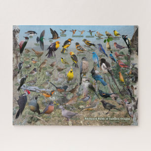 Achtertuin vogels van Oost-Oregon Legpuzzel