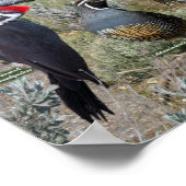 Achtertuin vogels van Oost-Oregon Poster (Hoek)