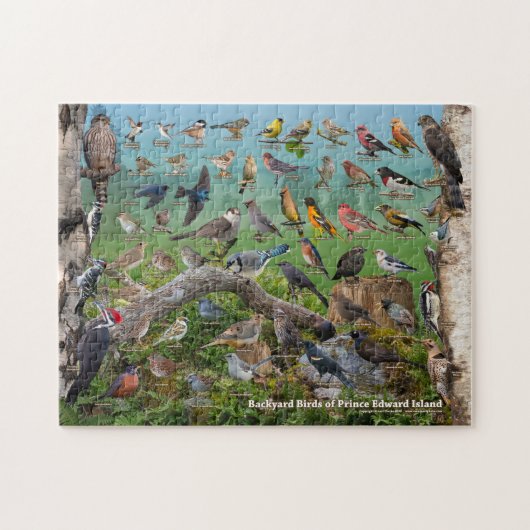 Achtertuin vogels van Prince Edward Island Legpuzzel (Horizontaal)