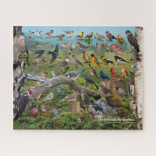 Achtertuin vogels van Quebec (in het Frans) Puzzle Legpuzzel (Horizontaal)