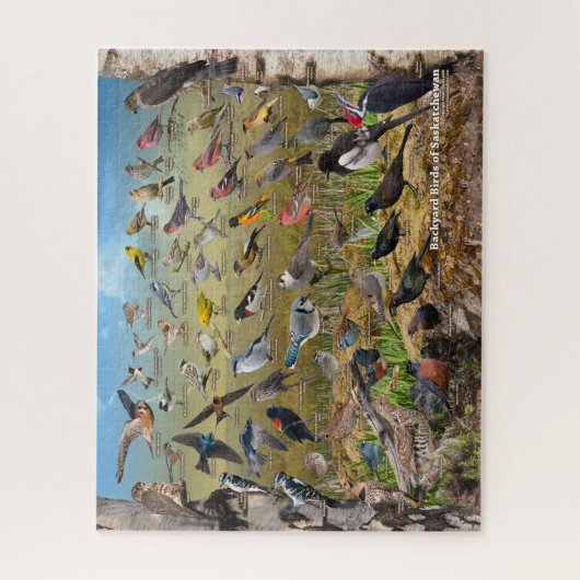 Achtertuin vogels van Saskatchewan Legpuzzel (Verticaal)