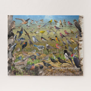 Achtertuin vogels van Saskatchewan Legpuzzel