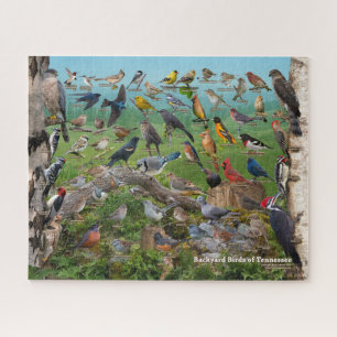 Achtertuin vogels van Tennessee Legpuzzel