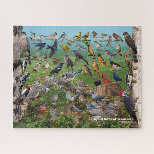Achtertuin vogels van Tennessee Legpuzzel (Horizontaal)