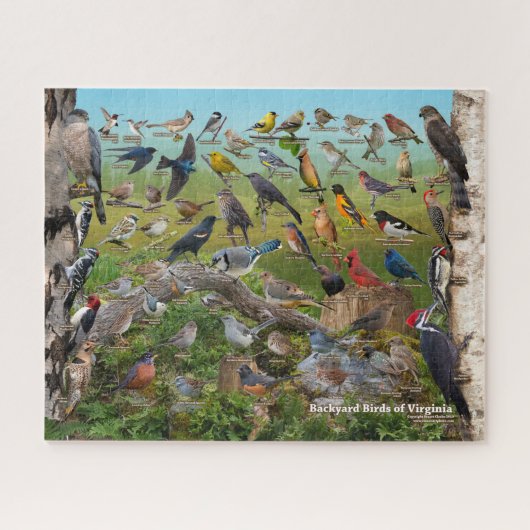 Achtertuin vogels van Virginia Legpuzzel (Horizontaal)