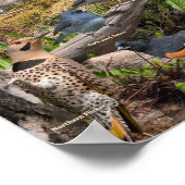 Achtertuin vogels van Wisconsin Poster (Hoek)