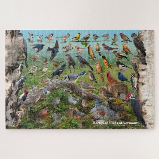 Achtertuin vogels Vermont Legpuzzel (Horizontaal)