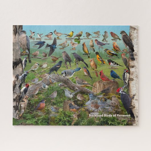 Achtertuin vogels Vermont Legpuzzel (Horizontaal)