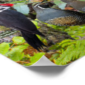 Achtertuin vogels West Poster 2021 Edition (Hoek)