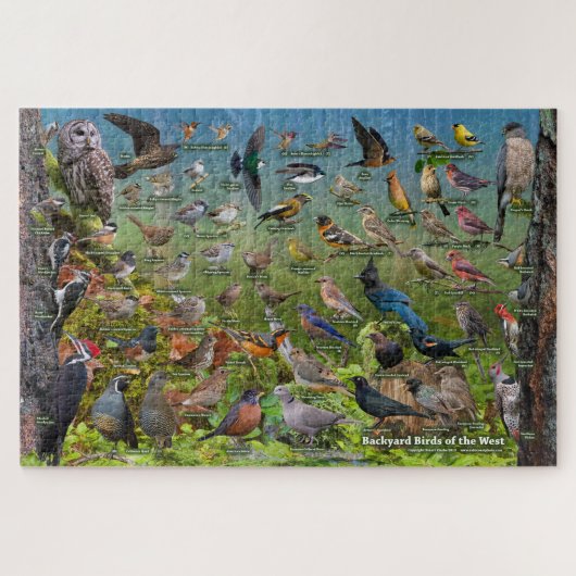 Achtertuin vogels West-Puzzle Legpuzzel (Horizontaal)