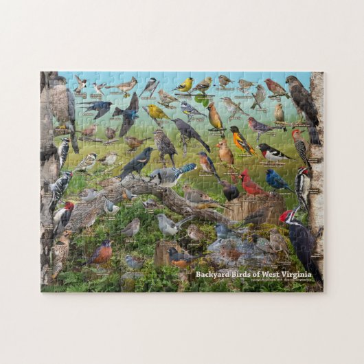 Achtertuin vogels West Virginia Legpuzzel (Horizontaal)