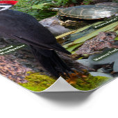 Achtertuin WIldlife of the West Poster (Hoek)