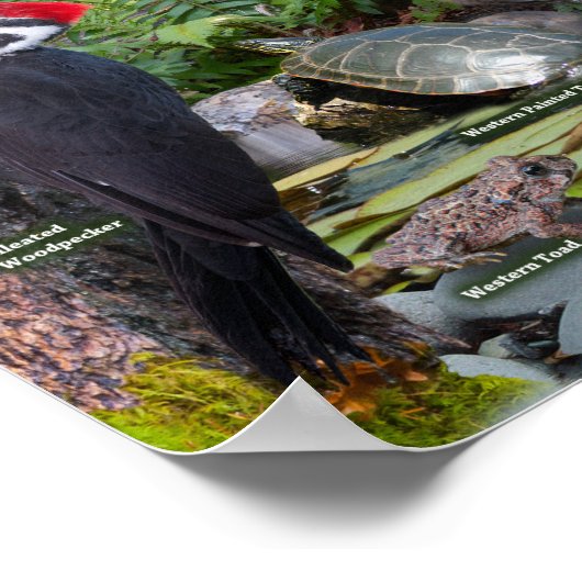 Achtertuin WIldlife of the West Poster (Hoek)