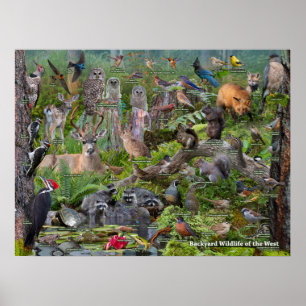 Achtertuin WIldlife of the West Poster