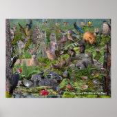 Achtertuin Wildlife van de West-identificatie Poster (Voorkant)