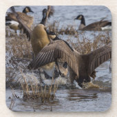 Achteruit Bier Onderzetter (Voorkant)