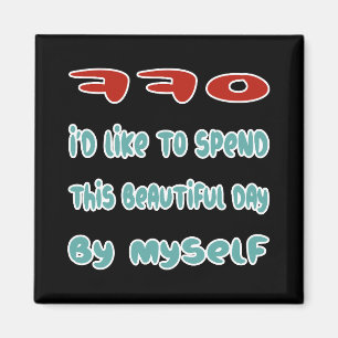 Achteruit Magneet