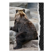 Achterwaarts Beer van de verjaardag (Voorkant)