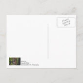 Achterwaarts kijken briefkaart (Achterkant)