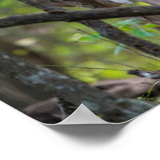 Achterwaarts kijken poster (Hoek)