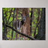 Achterwaarts kijken poster (Voorkant)