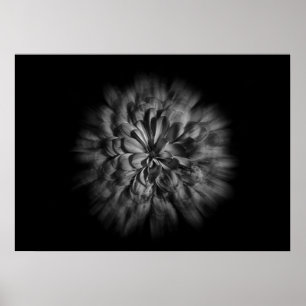 Achterwerende bloemen in zwart en wit 48 poster