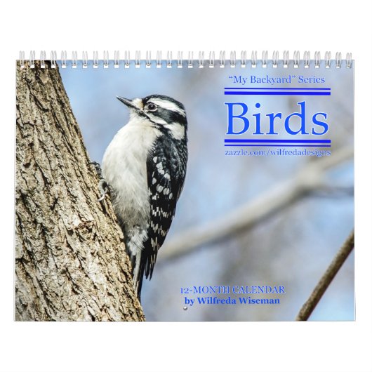 Achterwerende kalender voor vogels 4e in reeks (Hoes)