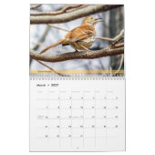 Achterwerende kalender voor vogels 4e in reeks (Mar 2027)