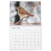 Achterwerende kalender voor vogels 4e in reeks (Jan 2027)