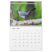 Achterwerende kalender voor vogels 5e reeks (Mar 2027)