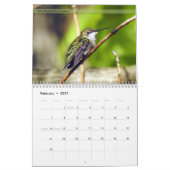 Achterwerende kalender voor vogels 5e reeks (Feb 2027)