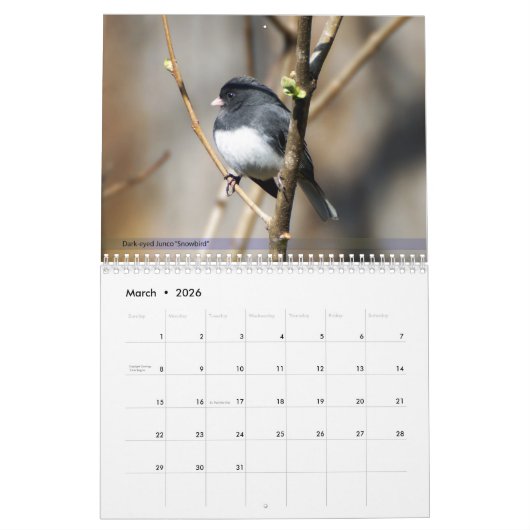 Achterwerende vogelkalender 2e reeks kalender (Mar 2026)