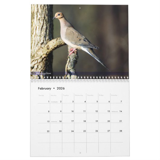 Achterwerende vogelkalender 2e reeks kalender (Feb 2026)