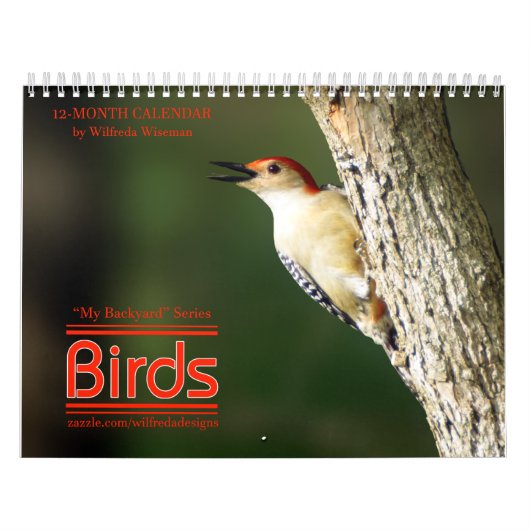 Achterwerende vogelkalender 2e reeks kalender (Hoes)