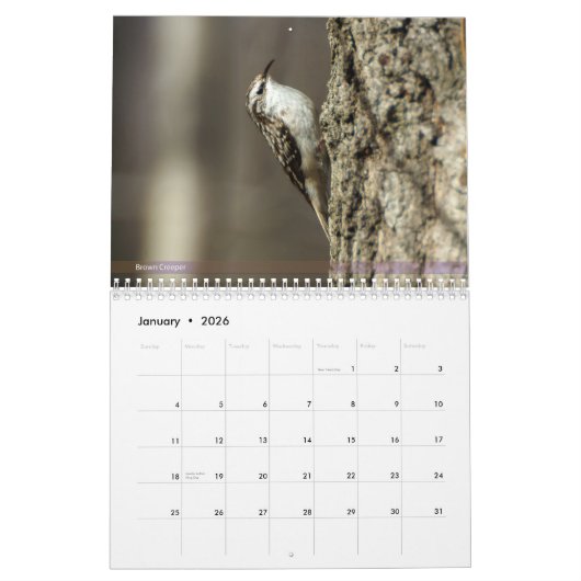 Achterwerende vogelkalender 2e reeks kalender (Jan 2026)