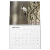 Achterwerende vogelkalender 2e reeks kalender (Jan 2027)