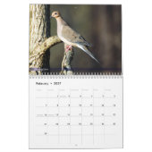 Achterwerende vogelkalender 2e reeks kalender (Feb 2027)