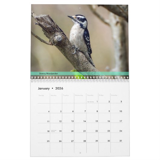 Achterwerende vogelkalender 3e reeks kalender (Jan 2026)