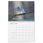Achterwerende vogelkalender 3e reeks kalender (Feb 2027)