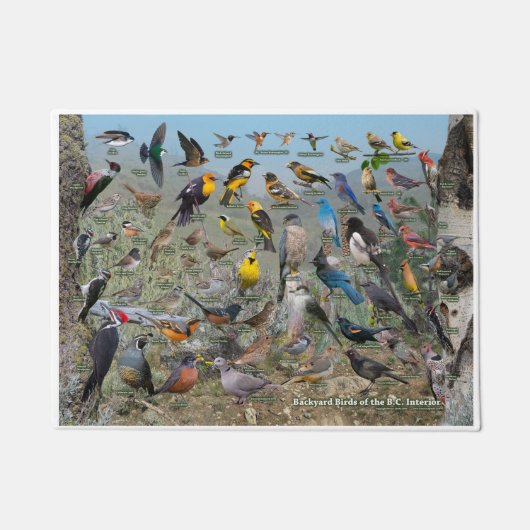 Achterwerende vogels van de BC Interior Deurmat (Voorkant)