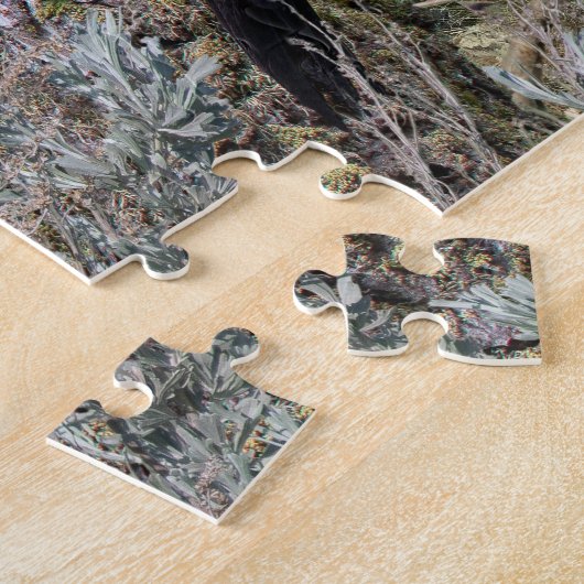 Achterwerende vogels van de BC Interior Legpuzzel (Zijkant)