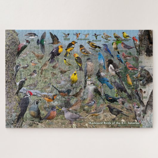 Achterwerende vogels van de BC Interior Legpuzzel (Horizontaal)
